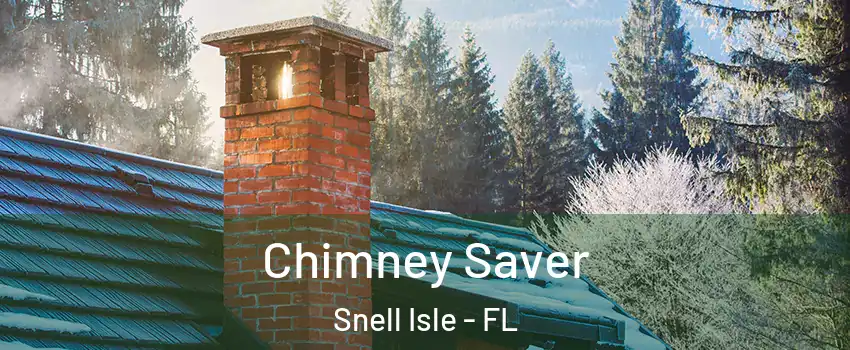Chimney Saver Snell Isle - FL