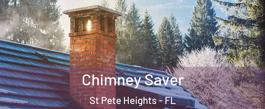 Chimney Saver St Pete Heights - FL