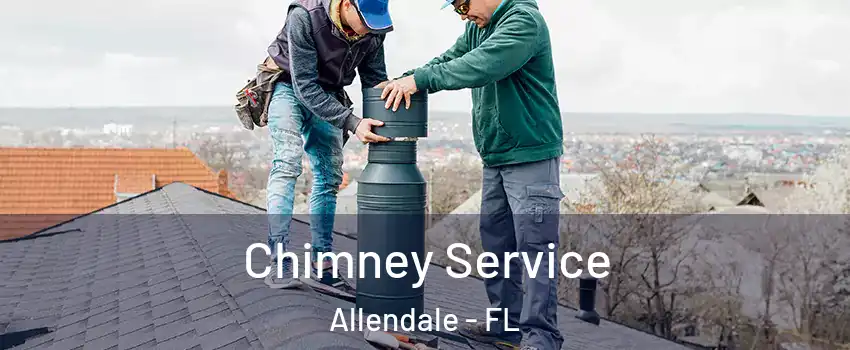 Chimney Service Allendale - FL