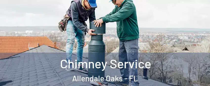 Chimney Service Allendale Oaks - FL