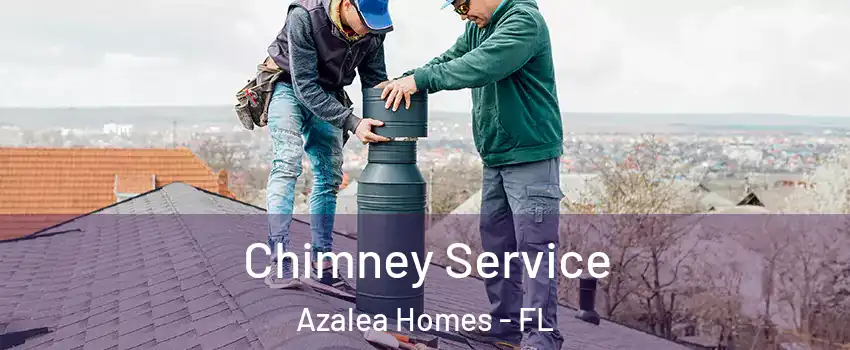 Chimney Service Azalea Homes - FL