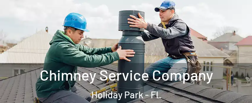 Chimney Service Company Holiday Park - FL