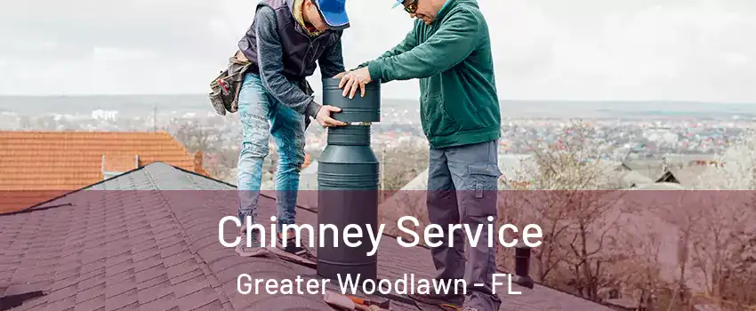 Chimney Service Greater Woodlawn - FL