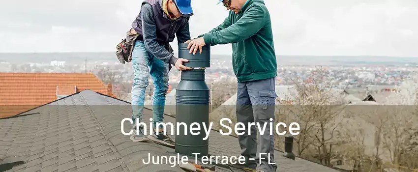 Chimney Service Jungle Terrace - FL