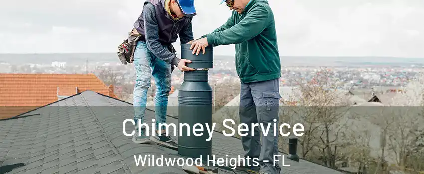 Chimney Service Wildwood Heights - FL