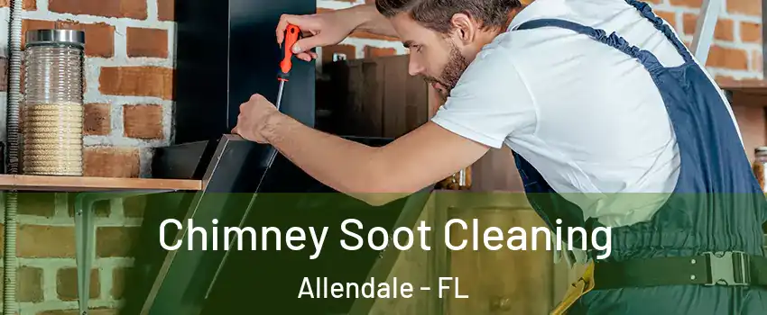 Chimney Soot Cleaning Allendale - FL