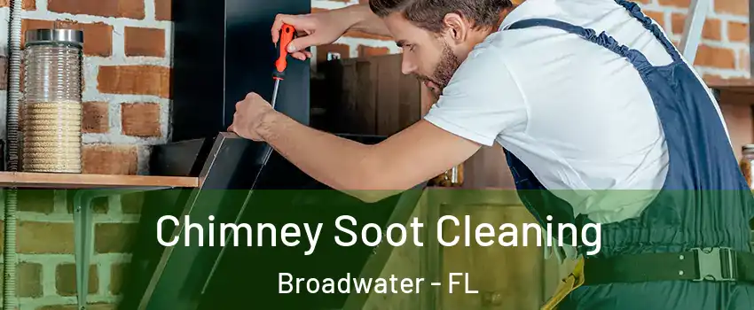 Chimney Soot Cleaning Broadwater - FL