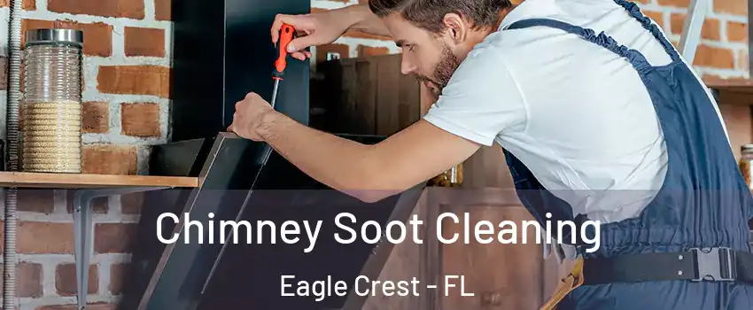 Chimney Soot Cleaning Eagle Crest - FL