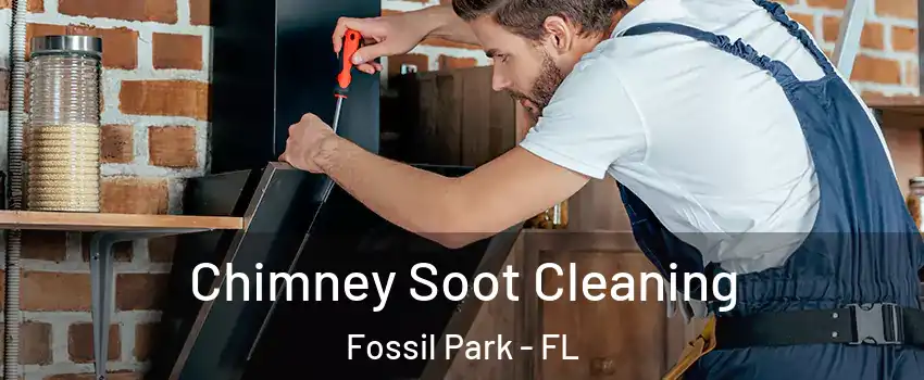 Chimney Soot Cleaning Fossil Park - FL