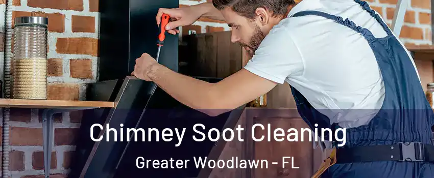 Chimney Soot Cleaning Greater Woodlawn - FL