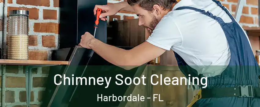 Chimney Soot Cleaning Harbordale - FL