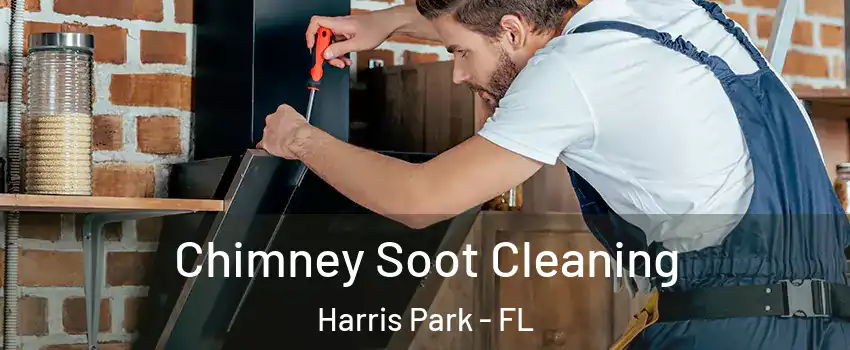 Chimney Soot Cleaning Harris Park - FL