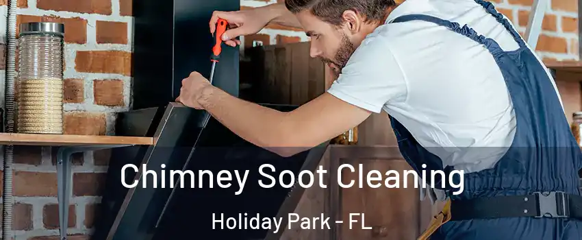 Chimney Soot Cleaning Holiday Park - FL