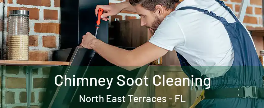 Chimney Soot Cleaning North East Terraces - FL