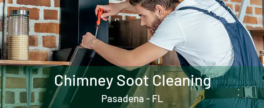 Chimney Soot Cleaning Pasadena - FL
