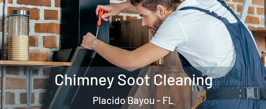 Chimney Soot Cleaning Placido Bayou - FL