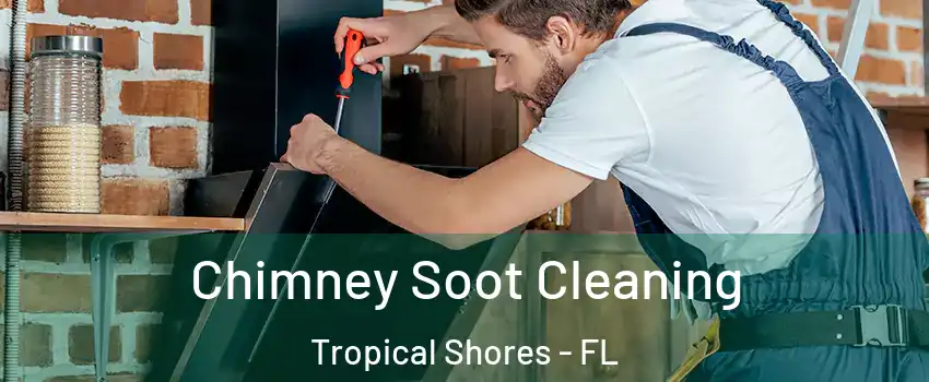 Chimney Soot Cleaning Tropical Shores - FL