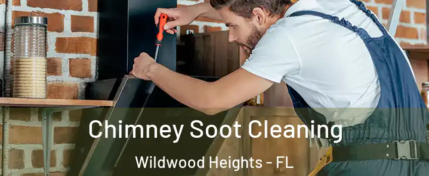 Chimney Soot Cleaning Wildwood Heights - FL