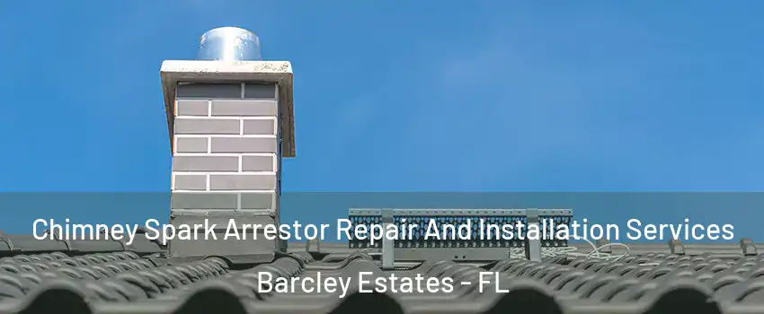Chimney Spark Arrestor Repair And Installation Services Barcley Estates - FL