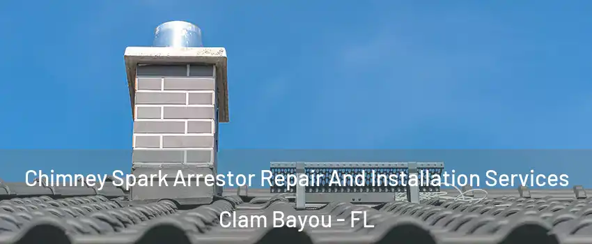 Chimney Spark Arrestor Repair And Installation Services Clam Bayou - FL