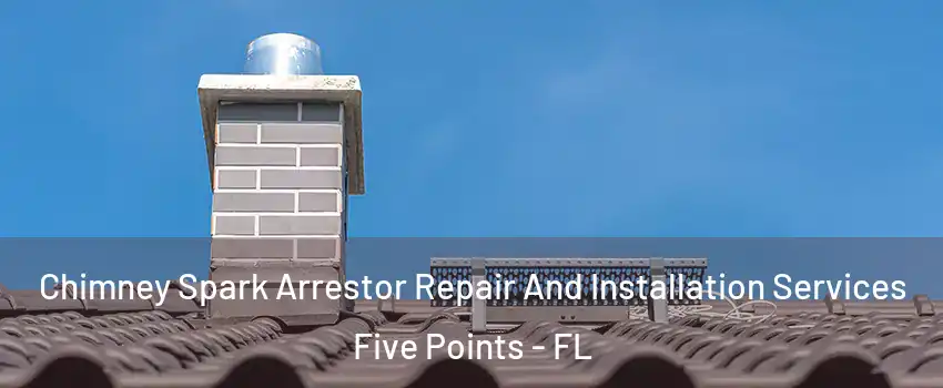 Chimney Spark Arrestor Repair And Installation Services Five Points - FL