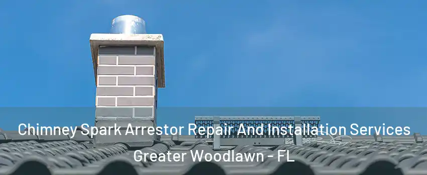 Chimney Spark Arrestor Repair And Installation Services Greater Woodlawn - FL