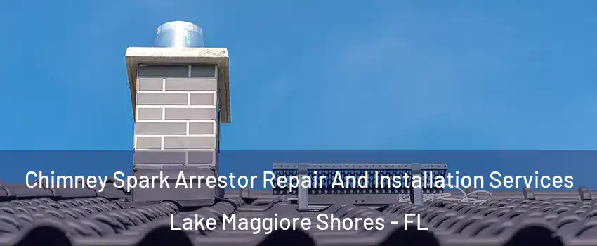 Chimney Spark Arrestor Repair And Installation Services Lake Maggiore Shores - FL