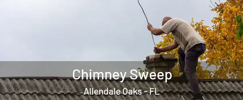 Chimney Sweep Allendale Oaks - FL