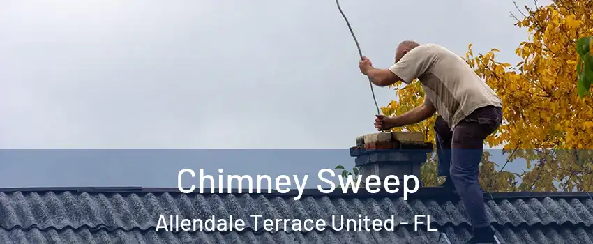 Chimney Sweep Allendale Terrace United - FL