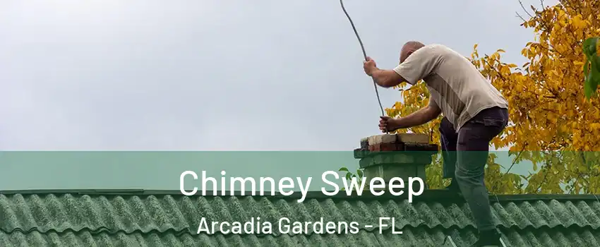Chimney Sweep Arcadia Gardens - FL