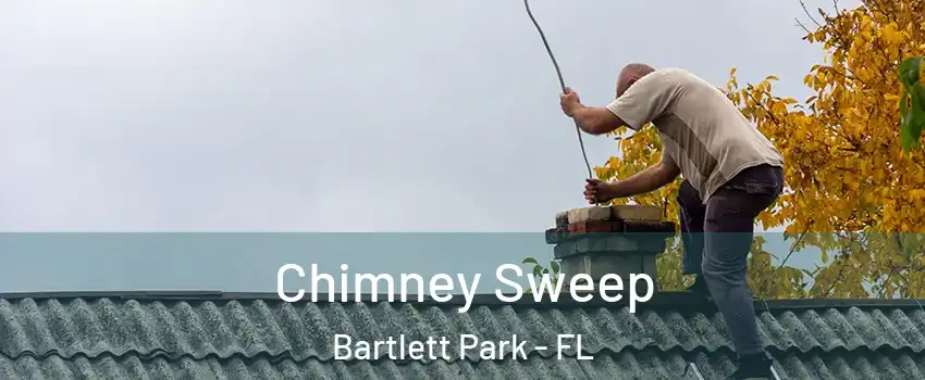 Chimney Sweep Bartlett Park - FL