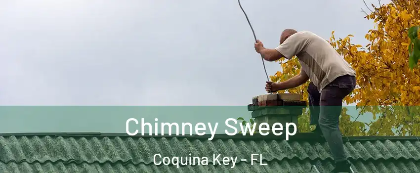 Chimney Sweep Coquina Key - FL
