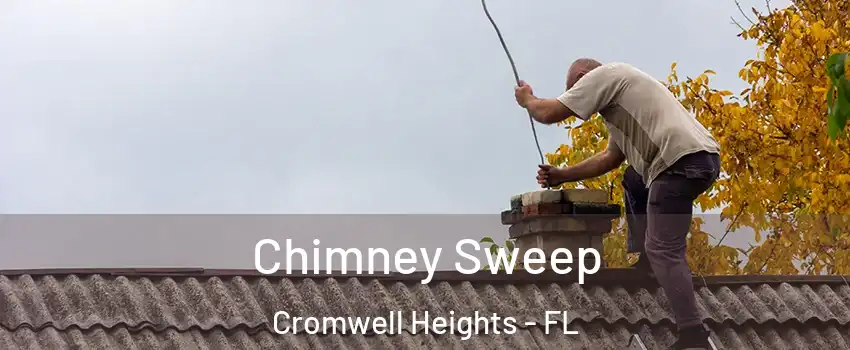 Chimney Sweep Cromwell Heights - FL