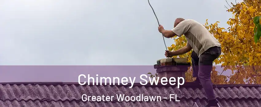 Chimney Sweep Greater Woodlawn - FL