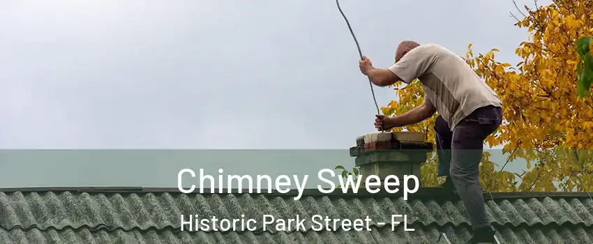 Chimney Sweep Historic Park Street - FL