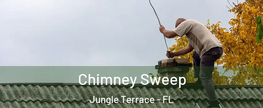 Chimney Sweep Jungle Terrace - FL