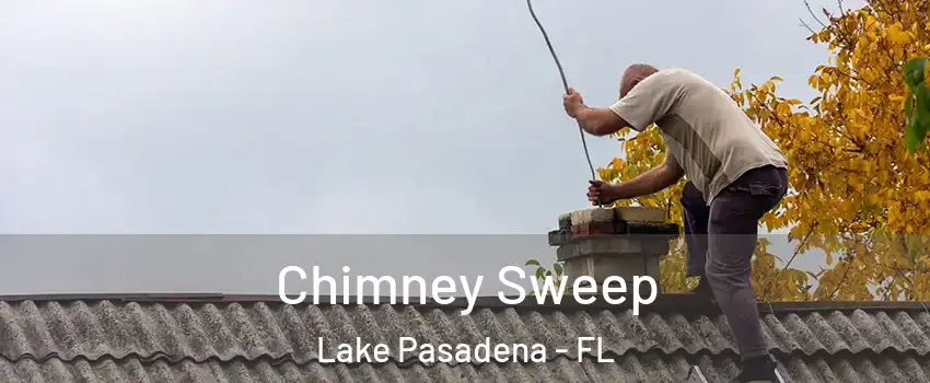 Chimney Sweep Lake Pasadena - FL