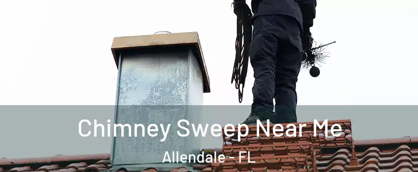 Chimney Sweep Near Me Allendale - FL