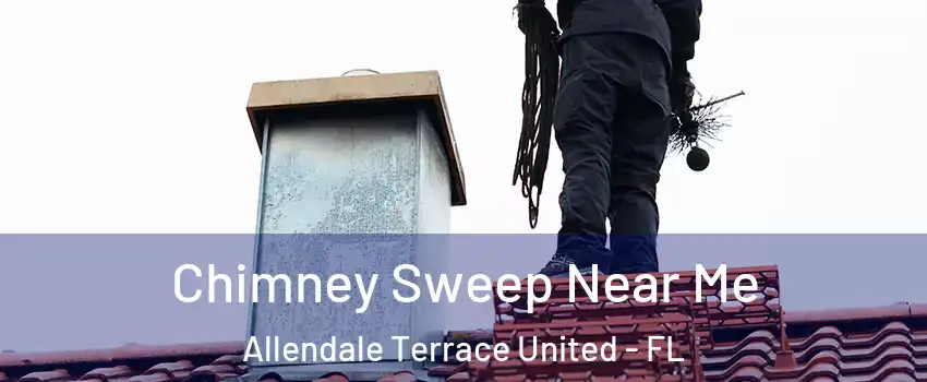 Chimney Sweep Near Me Allendale Terrace United - FL