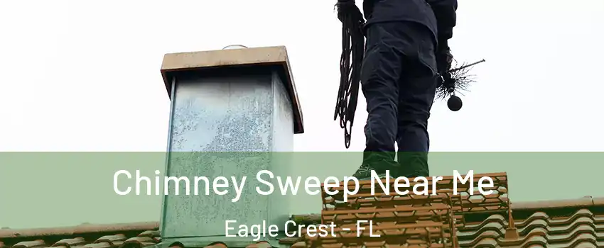 Chimney Sweep Near Me Eagle Crest - FL