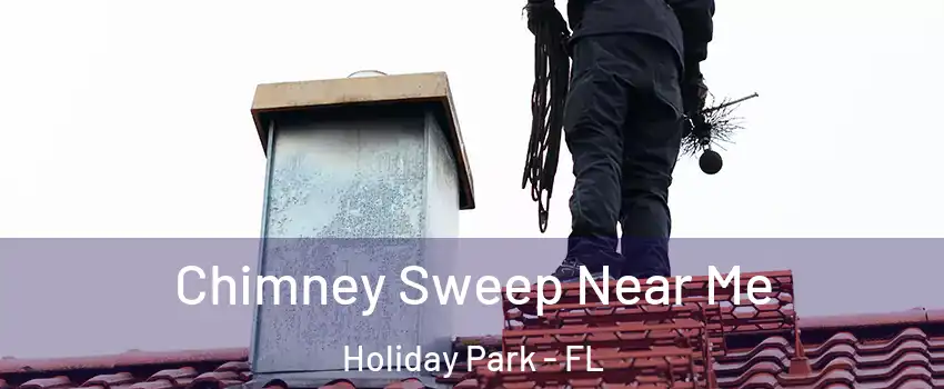 Chimney Sweep Near Me Holiday Park - FL