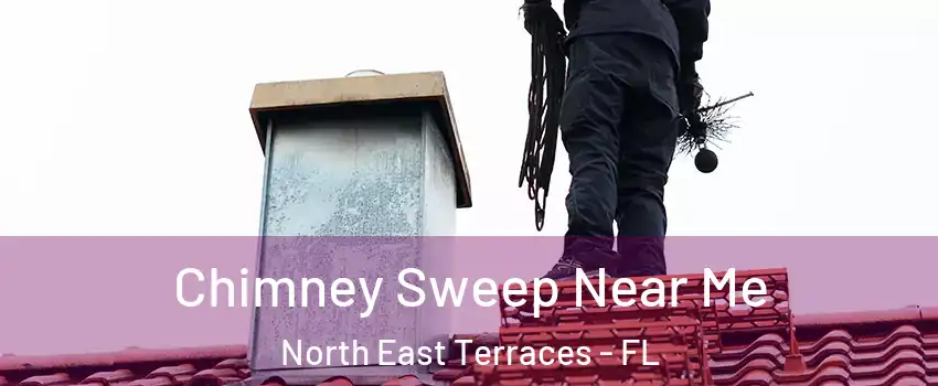 Chimney Sweep Near Me North East Terraces - FL