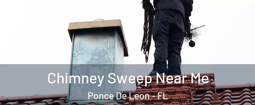 Chimney Sweep Near Me Ponce De Leon - FL