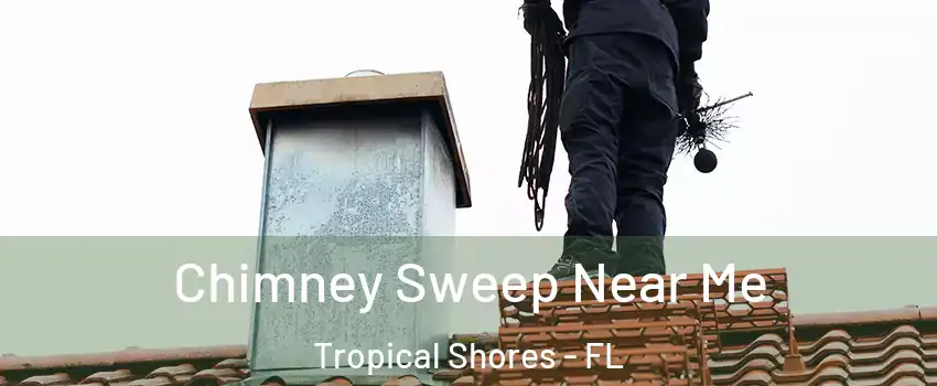Chimney Sweep Near Me Tropical Shores - FL