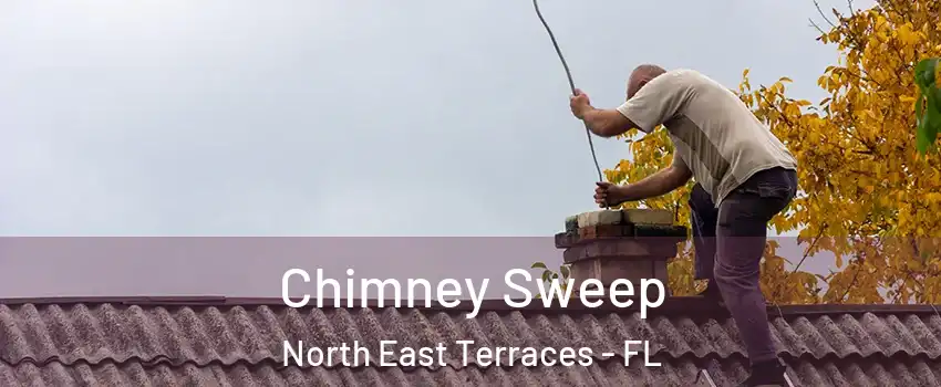 Chimney Sweep North East Terraces - FL