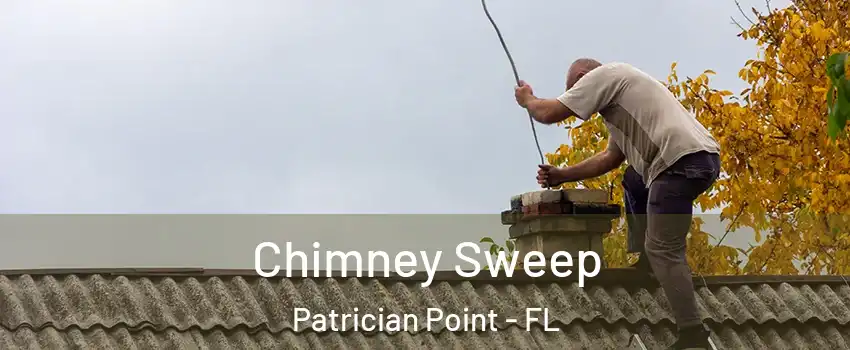 Chimney Sweep Patrician Point - FL