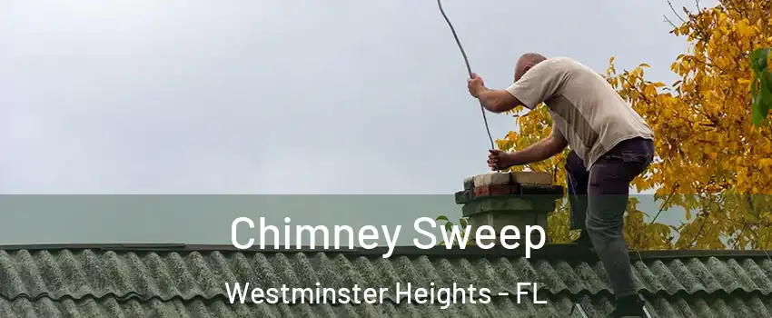 Chimney Sweep Westminster Heights - FL