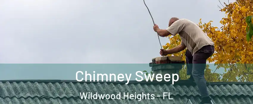 Chimney Sweep Wildwood Heights - FL