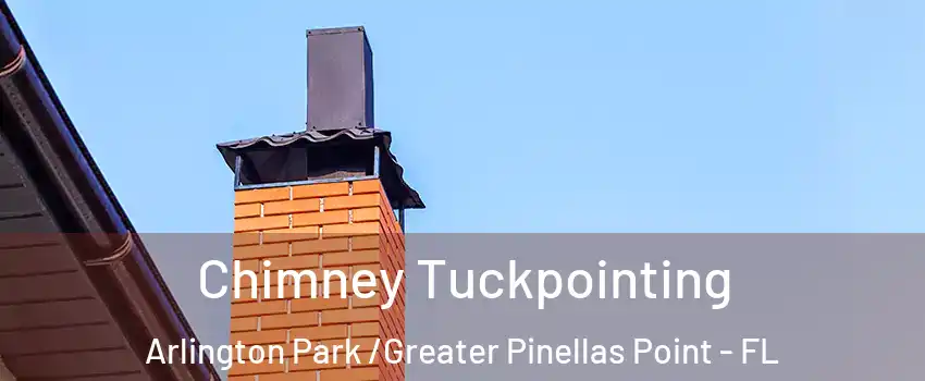 Chimney Tuckpointing Arlington Park /Greater Pinellas Point - FL