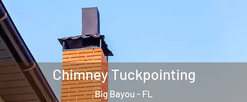 Chimney Tuckpointing Big Bayou - FL
